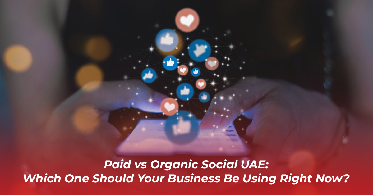 Paid vs Organic Social UAE: Which One Should Your Business Be Using Right Now?